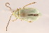  ( - 09BBECO-0256)  @14 [ ] CreativeCommons - Attribution (2010) Unspecified Centre for Biodiversity Genomics
