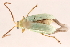  ( - 09BBECO-0258)  @13 [ ] CreativeCommons - Attribution (2010) Unspecified Centre for Biodiversity Genomics