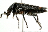  ( - 09BBECO-0049)  @13 [ ] CreativeCommons - Attribution (2010) Unspecified Centre for Biodiversity Genomics