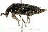  ( - 09BBECO-0050)  @13 [ ] CreativeCommons - Attribution (2010) Unspecified Centre for Biodiversity Genomics