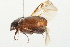  ( - 09BBECO-0099)  @13 [ ] CreativeCommons - Attribution (2010) Unspecified Centre for Biodiversity Genomics