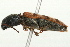  ( - 09BBECO-0150)  @14 [ ] CreativeCommons - Attribution (2010) Unspecified Centre for Biodiversity Genomics