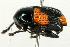  ( - 09BBECO-0187)  @13 [ ] CreativeCommons - Attribution (2010) Unspecified Centre for Biodiversity Genomics