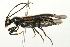  ( - 09BBECO-0189)  @13 [ ] CreativeCommons - Attribution (2010) Unspecified Centre for Biodiversity Genomics