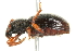  ( - 09BBECO-0236)  @13 [ ] CreativeCommons - Attribution (2010) Unspecified Centre for Biodiversity Genomics