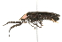  ( - 09BBECO-0251)  @14 [ ] CreativeCommons - Attribution (2010) Unspecified Centre for Biodiversity Genomics