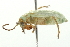  ( - 09BBECO-0256)  @14 [ ] CreativeCommons - Attribution (2010) Unspecified Centre for Biodiversity Genomics