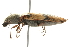  ( - 09BBECO-0268)  @13 [ ] CreativeCommons - Attribution (2010) Unspecified Centre for Biodiversity Genomics