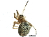  ( - BIOUG12576-G02)  @13 [ ] CreativeCommons - Attribution (2014) CBG Photography Group Centre for Biodiversity Genomics