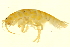  ( - BIOUG00940-H06)  @13 [ ] CreativeCommons - Attribution (2011) CBG Photography Group Centre for Biodiversity Genomics
