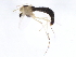  ( - 10BBCDIP-0744)  @13 [ ] CreativeCommons - Attribution (2010) CBG Photography Group Centre for Biodiversity Genomics