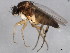  ( - 10BBCDIP-0791)  @13 [ ] CreativeCommons - Attribution (2010) CBG Photography Group Centre for Biodiversity Genomics