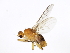  ( - 10BBCDIP-0938)  @13 [ ] CreativeCommons - Attribution (2010) CBG Photography Group Centre for Biodiversity Genomics