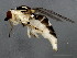  ( - 10BBCDIP-1050)  @12 [ ] CreativeCommons - Attribution (2010) CBG Photography Group Centre for Biodiversity Genomics