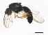  ( - 10BBCDIP-1090)  @12 [ ] CreativeCommons - Attribution (2010) CBG Photography Group Centre for Biodiversity Genomics