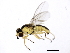  ( - 10BBCDIP-1105)  @12 [ ] CreativeCommons - Attribution (2010) CBG Photography Group Centre for Biodiversity Genomics