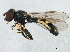 ( - 10BBCDIP-1109)  @15 [ ] CreativeCommons - Attribution (2010) CBG Photography Group Centre for Biodiversity Genomics