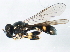  ( - 10BBCDIP-1155)  @12 [ ] CreativeCommons - Attribution (2010) CBG Photography Group Centre for Biodiversity Genomics