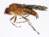  ( - 10BBCDIP-1164)  @13 [ ] CreativeCommons - Attribution (2010) CBG Photography Group Centre for Biodiversity Genomics
