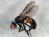  ( - 10BBCDIP-1165)  @13 [ ] CreativeCommons - Attribution (2010) CBG Photography Group Centre for Biodiversity Genomics