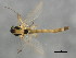  ( - 10BBCDIP-1190)  @12 [ ] CreativeCommons - Attribution (2010) CBG Photography Group Centre for Biodiversity Genomics