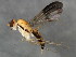  ( - 10BBCDIP-1252)  @13 [ ] CreativeCommons - Attribution (2010) CBG Photography Group Centre for Biodiversity Genomics