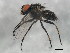  ( - 10BBCDIP-1257)  @12 [ ] CreativeCommons - Attribution (2010) CBG Photography Group Centre for Biodiversity Genomics