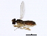  ( - 10BBCDIP-1347)  @12 [ ] CreativeCommons - Attribution (2010) CBG Photography Group Centre for Biodiversity Genomics