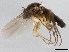  ( - 10BBCDIP-1493)  @13 [ ] CreativeCommons - Attribution (2010) CBG Photography Group Centre for Biodiversity Genomics