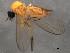  ( - 10BBCDIP-1574)  @12 [ ] CreativeCommons - Attribution (2010) CBG Photography Group Centre for Biodiversity Genomics