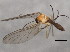  ( - 10BBCDIP-1579)  @12 [ ] CreativeCommons - Attribution (2010) CBG Photography Group Centre for Biodiversity Genomics