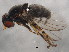  ( - 10BBCDIP-1638)  @13 [ ] CreativeCommons - Attribution (2010) CBG Photography Group Centre for Biodiversity Genomics