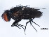  ( - 10BBCDIP-1409)  @13 [ ] CreativeCommons - Attribution (2010) CBG Photography Group Centre for Biodiversity Genomics
