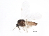  ( - 10BBCDIP-0033)  @13 [ ] CreativeCommons - Attribution (2011) CBG Photography Group Centre for Biodiversity Genomics