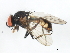  ( - 10BBCDIP-0103)  @13 [ ] CreativeCommons - Attribution (2010) CBG Photography Group Centre for Biodiversity Genomics