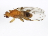  ( - 10BBCDIP-0112)  @13 [ ] CreativeCommons - Attribution (2010) CBG Photography Group Centre for Biodiversity Genomics