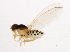  ( - 10BBCDIP-0184)  @12 [ ] CreativeCommons - Attribution (2010) CBG Photography Group Centre for Biodiversity Genomics