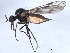 ( - 10BBCDIP-0386)  @12 [ ] CreativeCommons - Attribution (2010) CBG Photography Group Centre for Biodiversity Genomics