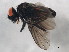  ( - 10BBCDIP-0594)  @13 [ ] CreativeCommons - Attribution (2010) CBG Photography Group Centre for Biodiversity Genomics