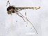  ( - 10BBCDIP-0664)  @12 [ ] CreativeCommons - Attribution (2010) CBG Photography Group Centre for Biodiversity Genomics