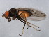  ( - 10BBCDIP-0666)  @12 [ ] CreativeCommons - Attribution (2010) CBG Photography Group Centre for Biodiversity Genomics