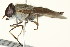  ( - PCPP10-0099)  @13 [ ] CreativeCommons - Attribution (2010) CBG Photography Group Centre for Biodiversity Genomics