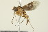  ( - PCPP10-0120)  @12 [ ] CreativeCommons - Attribution (2010) CBG Photography Group Centre for Biodiversity Genomics