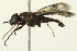  ( - PCPP10-0121)  @12 [ ] CreativeCommons - Attribution (2010) CBG Photography Group Centre for Biodiversity Genomics