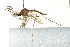  ( - PCPP10-0201)  @14 [ ] CreativeCommons - Attribution (2010) CBG Photography Group Centre for Biodiversity Genomics