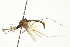  ( - PCPP10-0208)  @14 [ ] CreativeCommons - Attribution (2010) CBG Photography Group Centre for Biodiversity Genomics