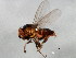  ( - 10BBCDIP-1782)  @13 [ ] CreativeCommons - Attribution (2010) CBG Photography Group Centre for Biodiversity Genomics