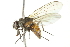  ( - 10BBCDIP-1830)  @13 [ ] CreativeCommons - Attribution (2010) CBG Photography Group Centre for Biodiversity Genomics