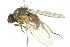  ( - 10BBCDIP-1831)  @14 [ ] CreativeCommons - Attribution (2010) CBG Photography Group Centre for Biodiversity Genomics