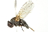  ( - 10BBCDIP-1836)  @14 [ ] CreativeCommons - Attribution (2010) CBG Photography Group Centre for Biodiversity Genomics